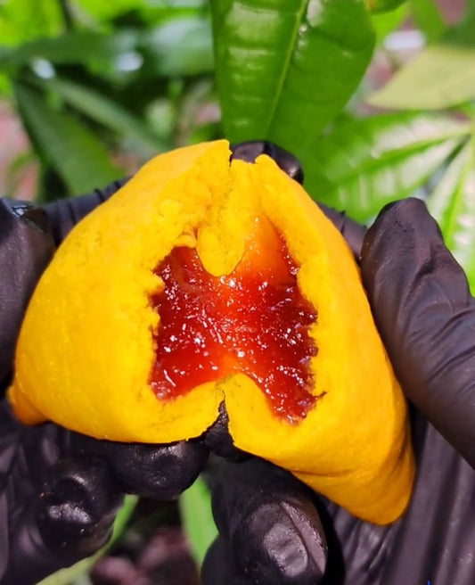 Guava Empanadas